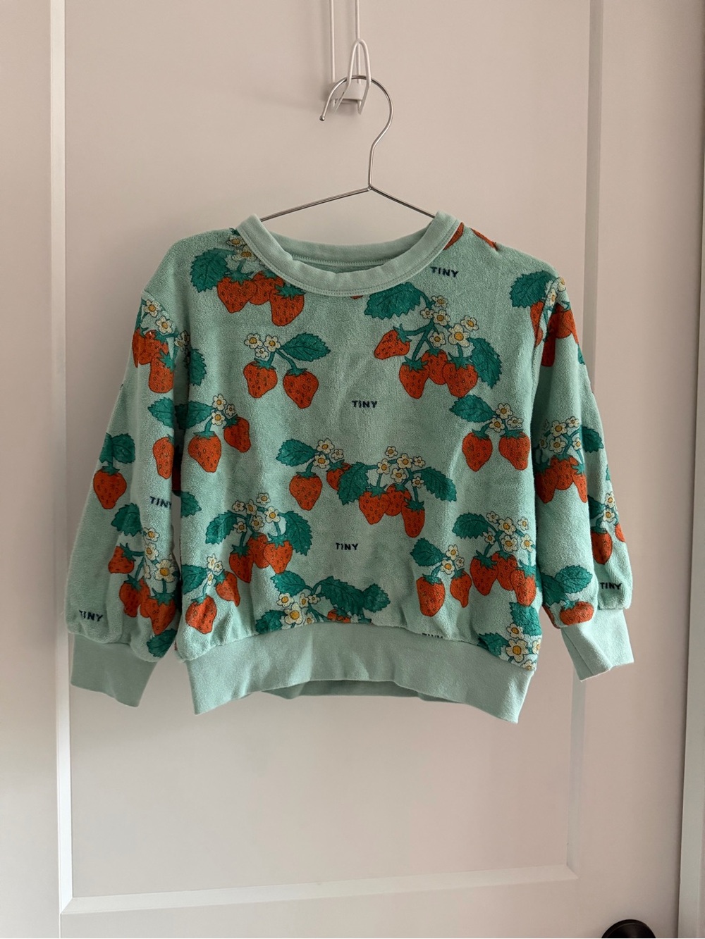 Tiny Mint Green Strawberry Print Sweatshirt
